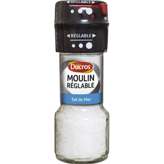SEL DE MER DUCROS 60G