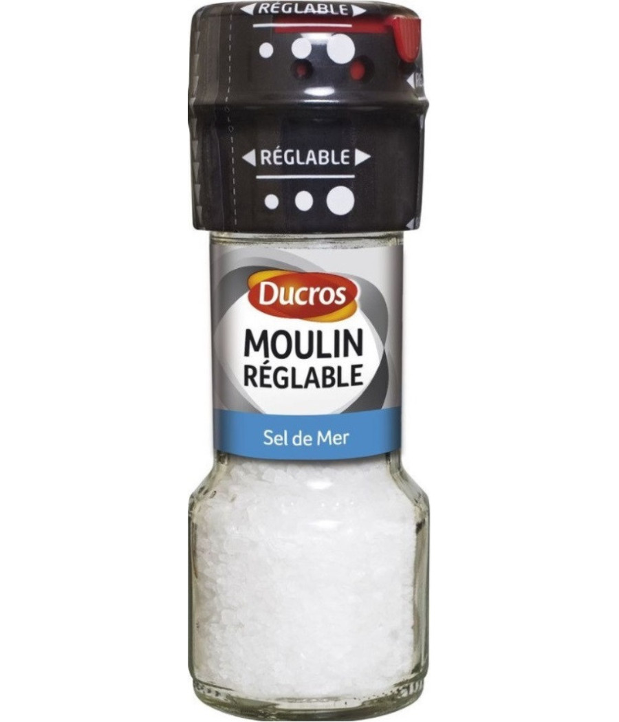 SEL DE MER DUCROS 60G