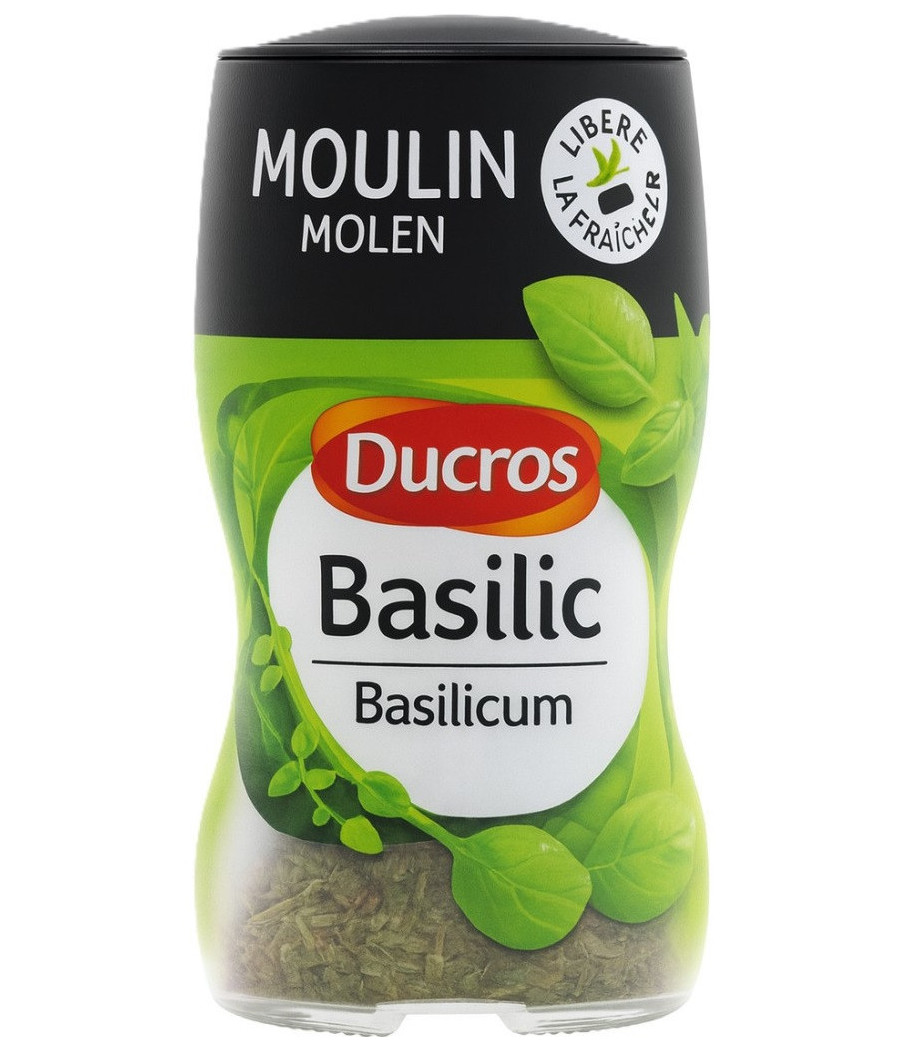 BASILIC DUCROS 6G