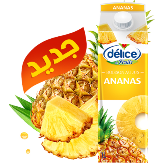 JUS DE FRUITS DELICE FRUITS ANANAS 1L
