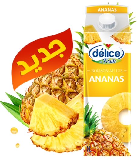 JUS DE FRUITS DELICE FRUITS ANANAS 1L
