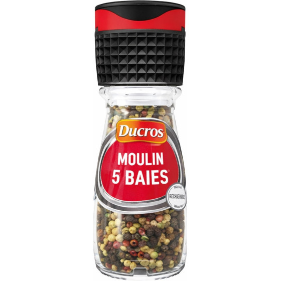 MOULIN 5 BAIES DUCROS 30G