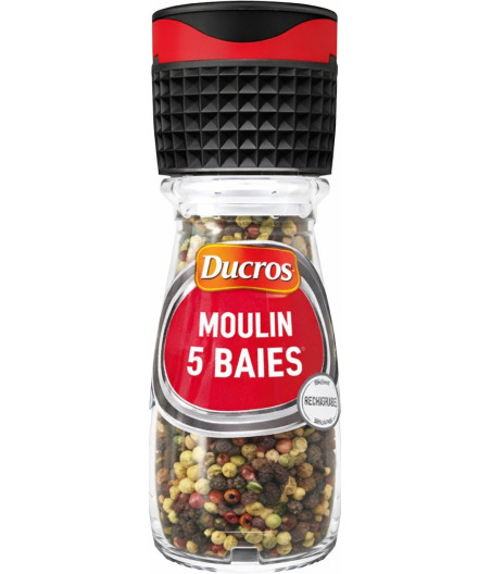 MOULIN 5 BAIES DUCROS 30G