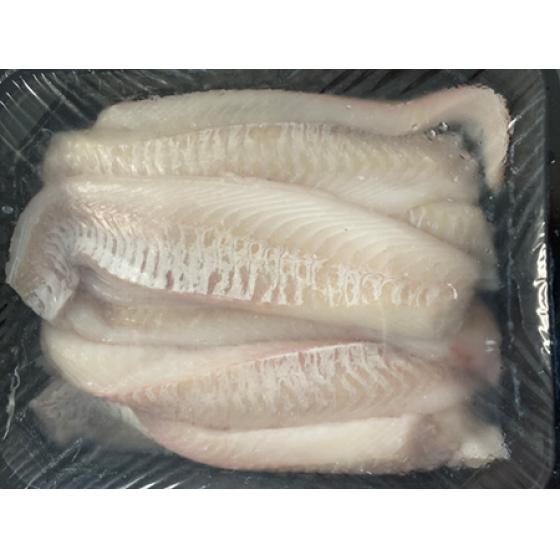 DOS D'EGLEFIN PECHE EN MER OCEAN ATLANTIQUE NORD-EST