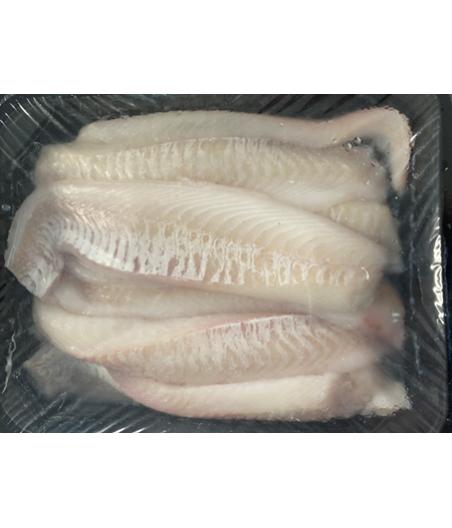 DOS D'EGLEFIN PECHE EN MER OCEAN ATLANTIQUE NORD-EST