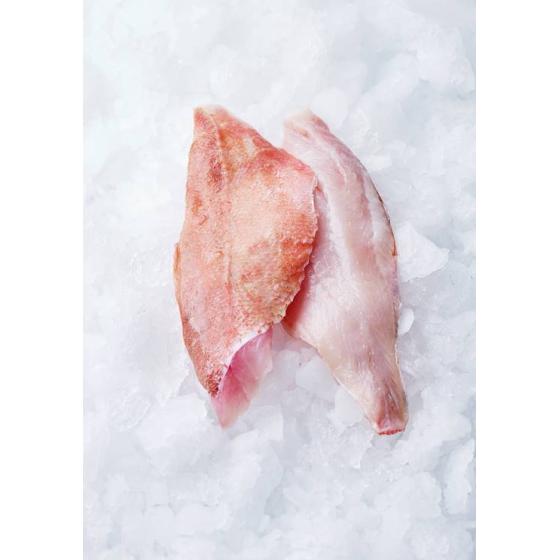 SEBASTE MARINUS CALIBRE 600/+ PECHE EN MER OCEAN ATLANTIQUE NORD-EST COLIS DE 0,8KG