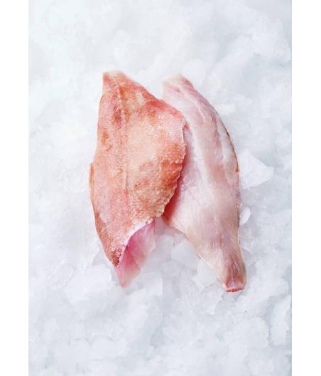 SEBASTE MARINUS CALIBRE 600/+ PECHE EN MER OCEAN ATLANTIQUE NORD-EST COLIS DE 0,8KG