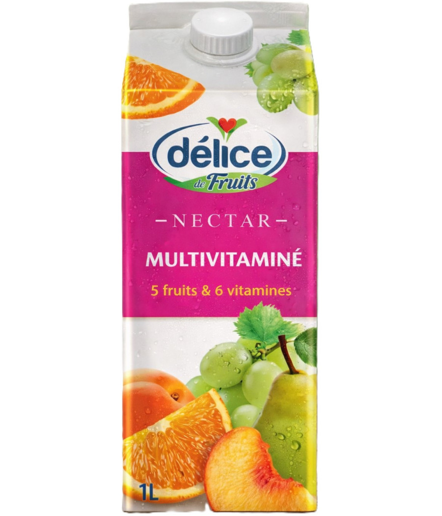JUS DE FRUITS NECTAR MULTIVITAMINE DELICE 1L