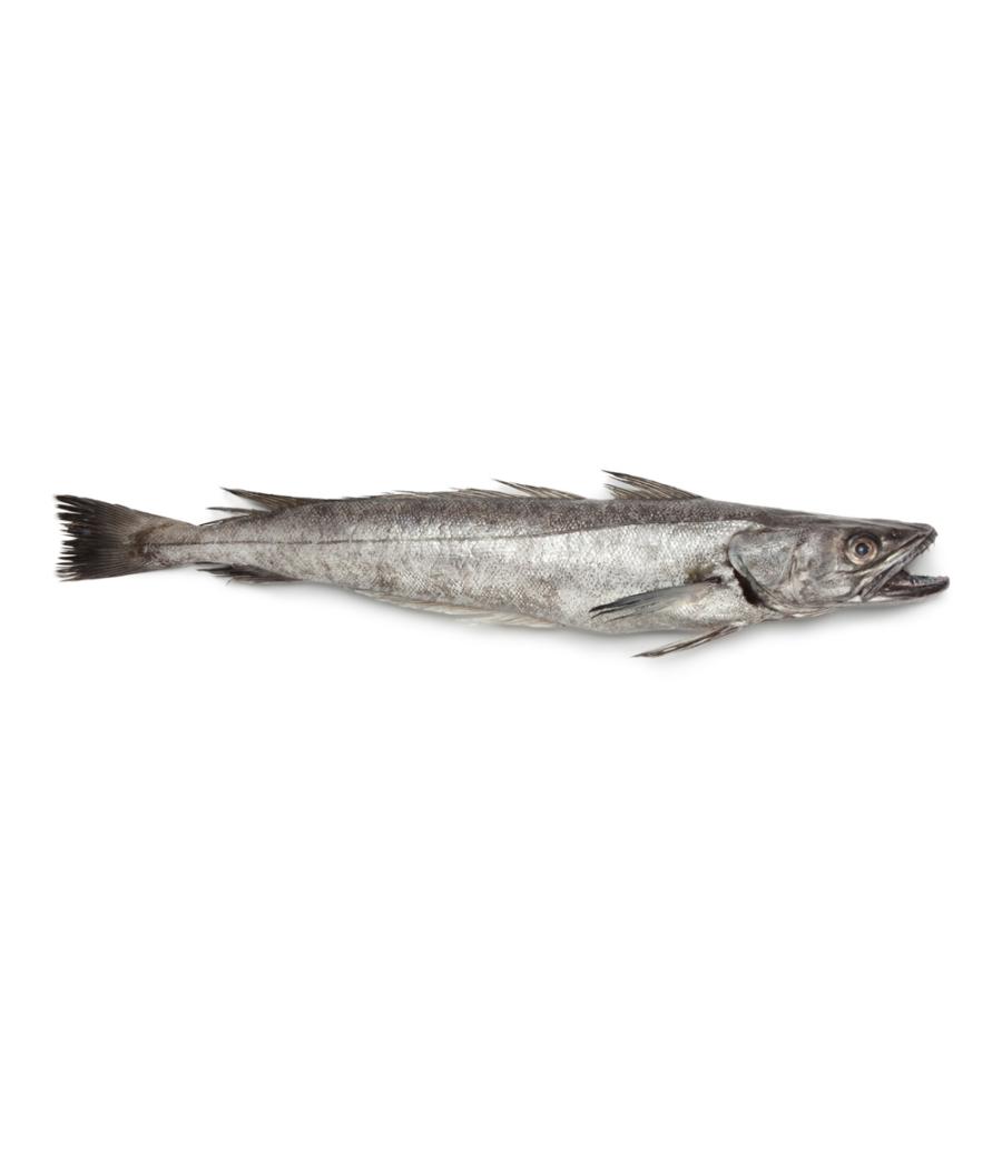MERLU CALIBRE 2.5/3.0 PECHE EN MER OCEAN ATLANTIQUE NORD-EST COLIS DE 2,75KG PACK DE 2.75