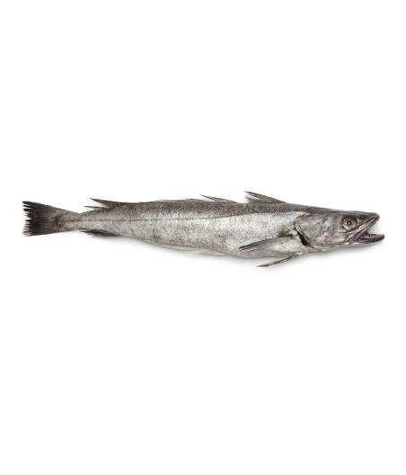 MERLU CALIBRE 2.5/3.0 PECHE EN MER OCEAN ATLANTIQUE NORD-EST COLIS DE 2,75KG PACK DE 2.75