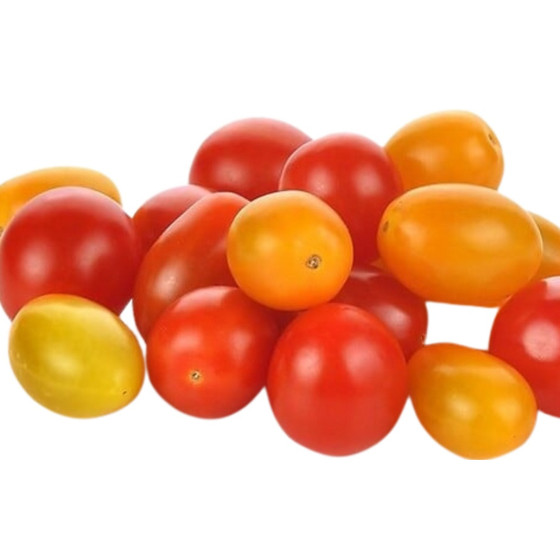 TOMATE CERISE MULTICOLORE