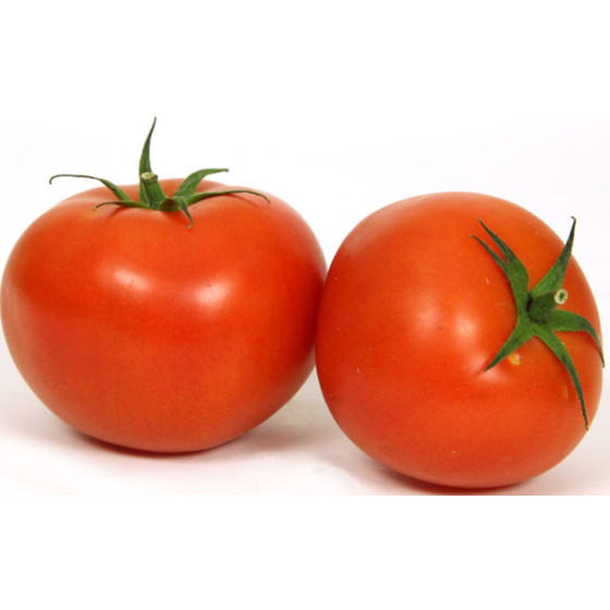 TOMATE RONDE