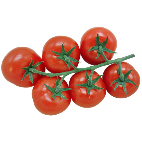 TOMATE GRAPPE