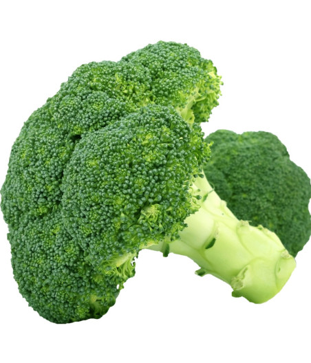 BROCOLI