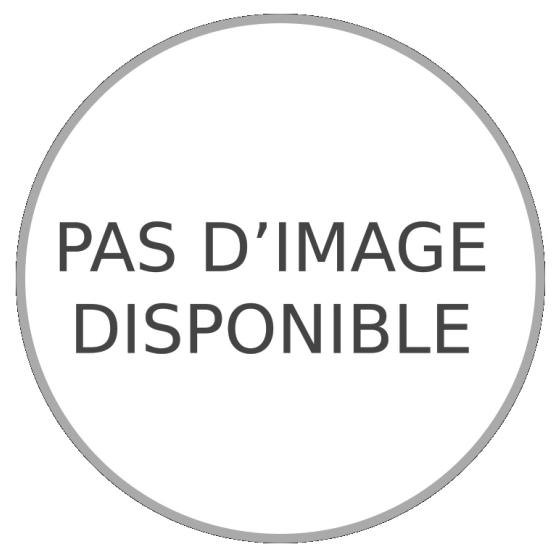 RAISINS DUO BARQUETTE 500G