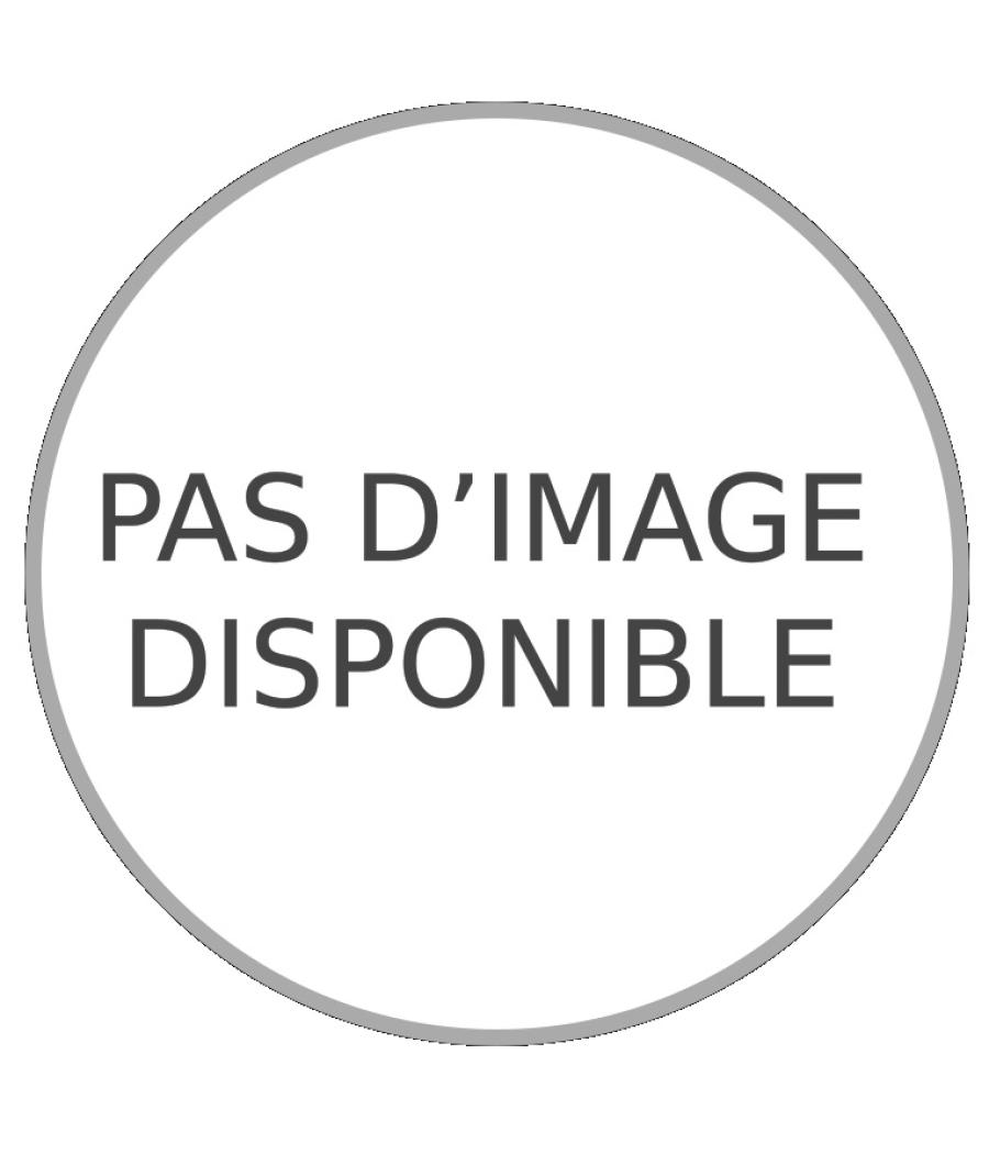 RAISINS DUO BARQUETTE 500G