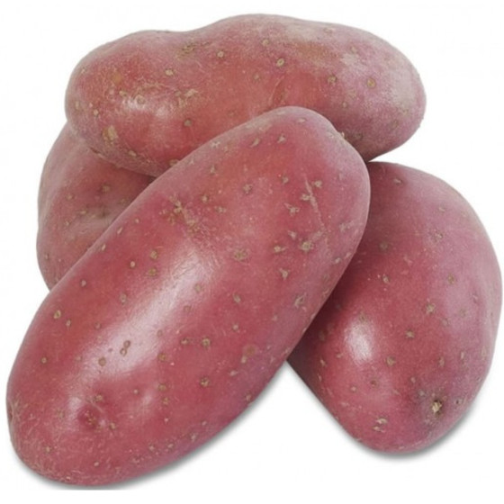 POMMES DE TERRE ROUGE ORIGINE FRANCE 2.5KG
