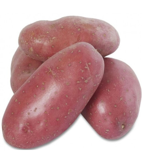 POMMES DE TERRE ROUGE ORIGINE FRANCE 2.5KG