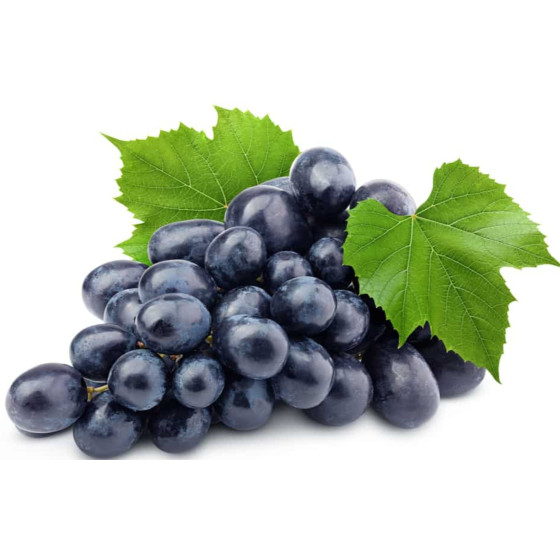 RAISINS NOIRES AFRIQUE DU SUD BARQUETTE 500G