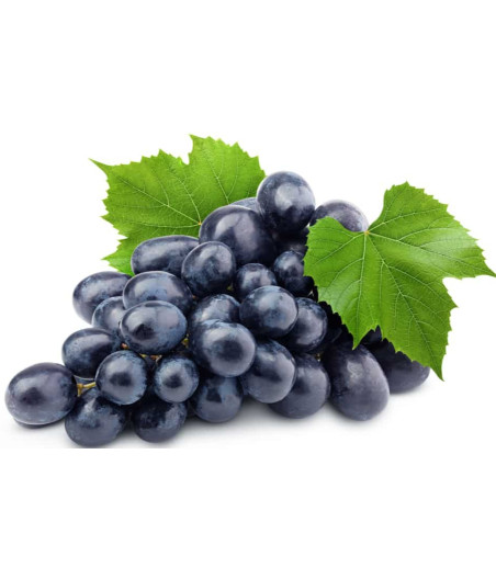 RAISINS NOIRES AFRIQUE DU SUD BARQUETTE 500G