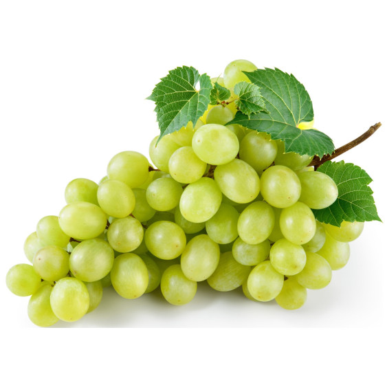 RAISINS BLANCS AFRIQUE DU SUD BARQUETTE 500G