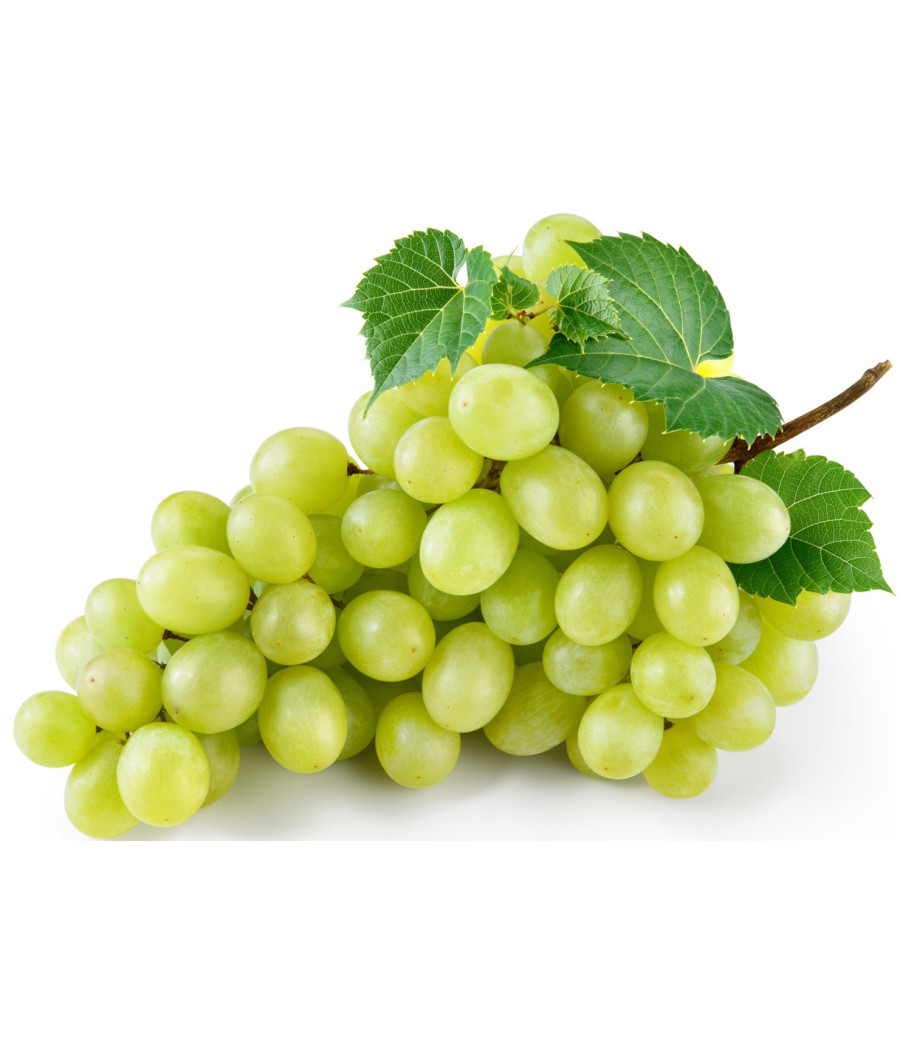 RAISINS BLANCS AFRIQUE DU SUD BARQUETTE 500G