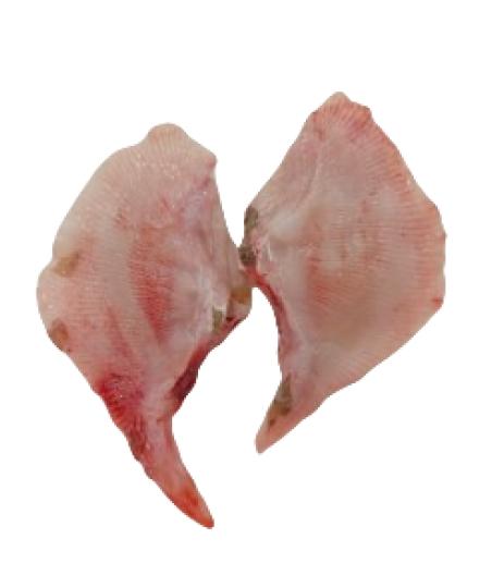AILE RAIE DOUCE NON PELEE CALIBRE 1/3  PECHE EN MER OCEAN ATLANTIQUE NORD-EST COLIS DE 2KG PACK D...