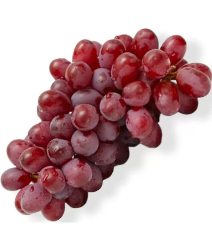 RAISINS CRIMSON AFRIQUE DU SUD BARQUETTE 500G