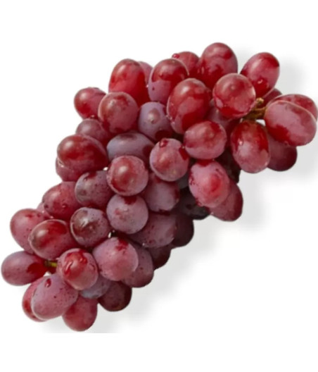 RAISINS CRIMSON AFRIQUE DU SUD BARQUETTE 500G