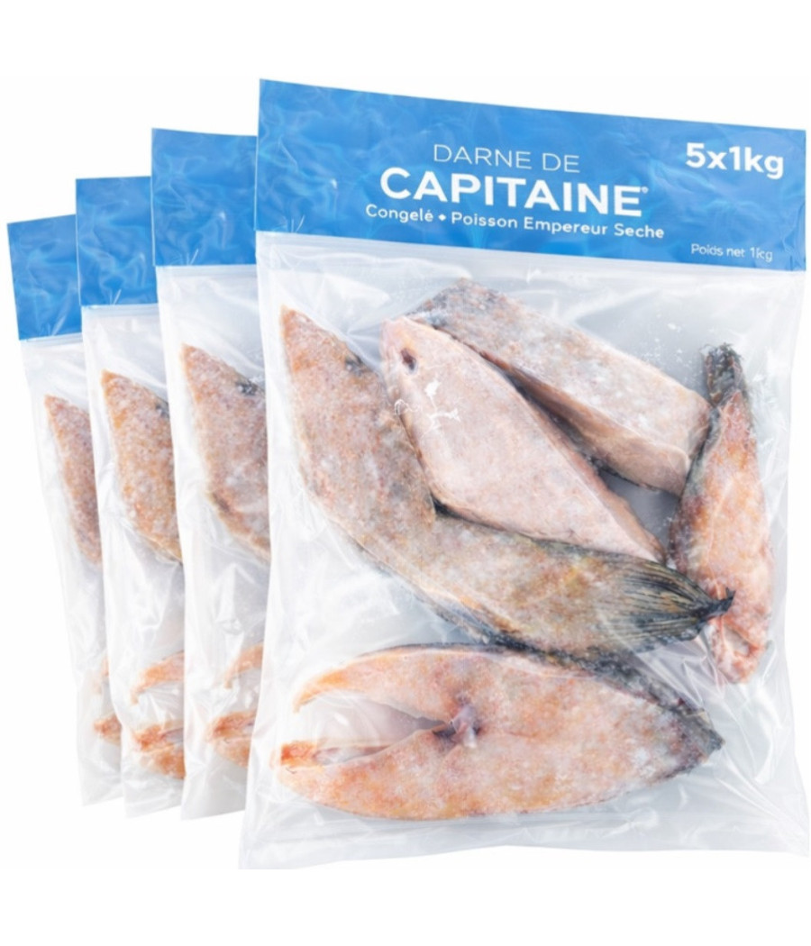 DARNE DE CAPITAINE SURGELE ORIGINE INDONESIE 5X1KG