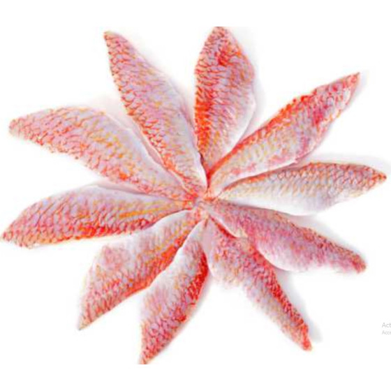 FILET DE ROUGET BARBETSOUS ATMOSPHERE PECHE EN ATLANTIQUE NORD-EST