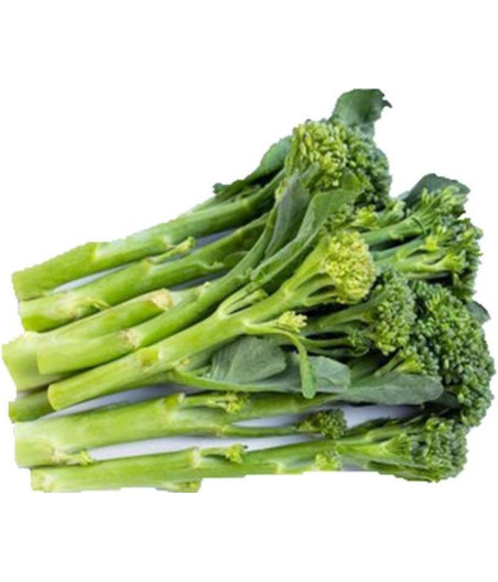 BROCOLI BIMI VERT