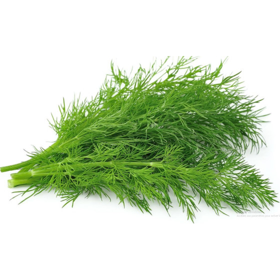 ANETH BARQUETTE DE 30G ORIGINE FRANCE