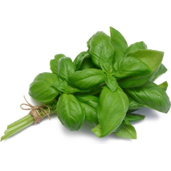 BASILIC FRAIS ORIGINE UE