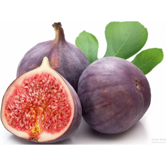 FIGUE NOIRE ORIGINE : PEROU