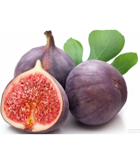 FIGUE NOIRE ORIGINE : PEROU
