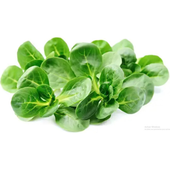 MACHE BOIS ORIGINE FRANCE