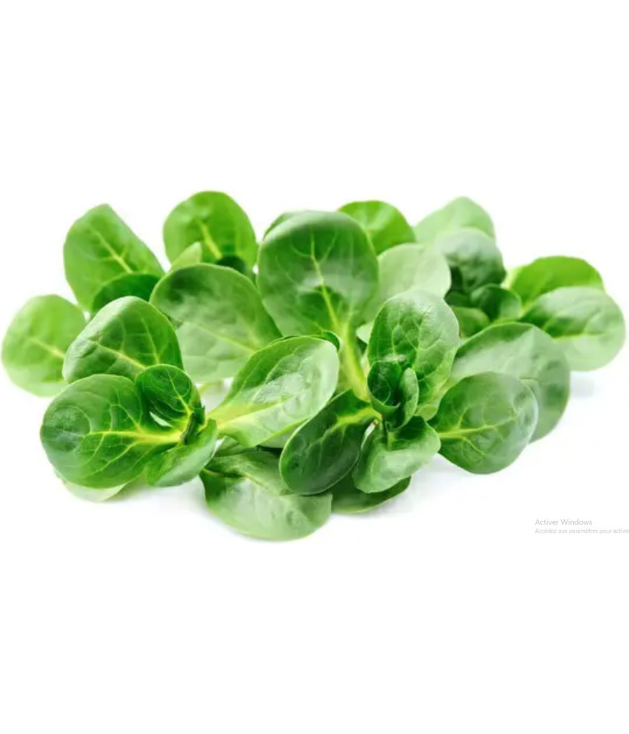 MACHE BOIS ORIGINE FRANCE