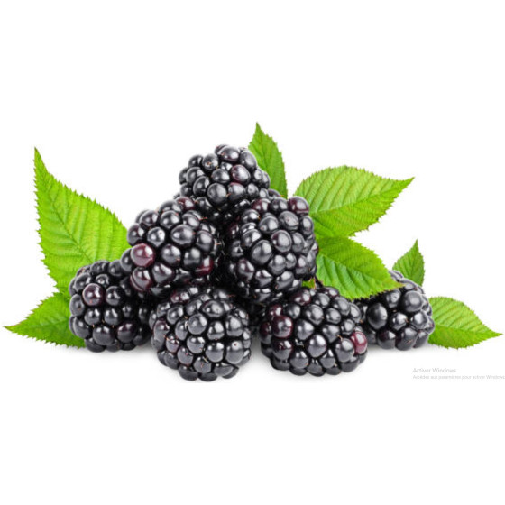 MURE CATEGORIE 1. ORIGINE  UE