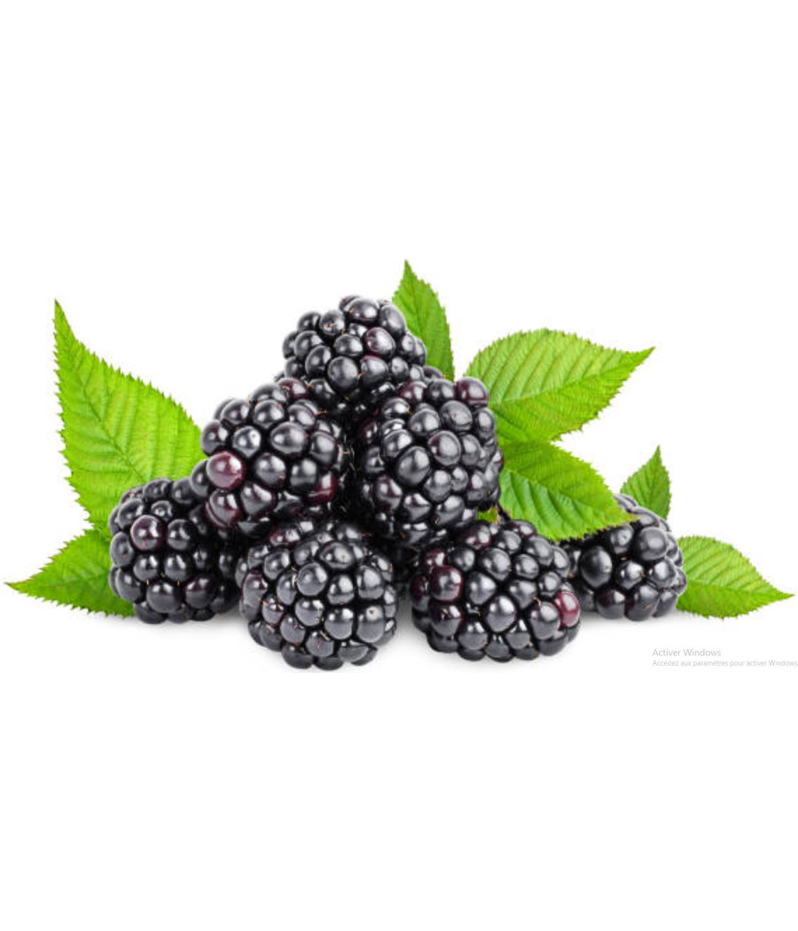 MURE CATEGORIE 1. ORIGINE  UE