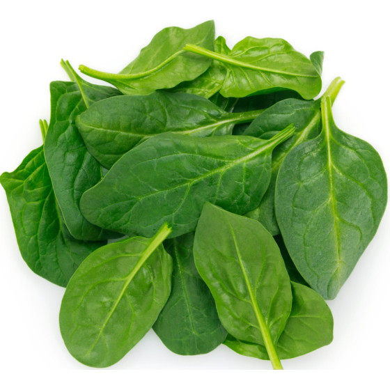 POUSSE D'EPINARD BOIS ORIGINE FRANCE