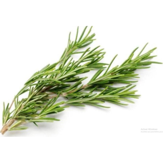 ROMARIN FRAIS ORIGINE UE