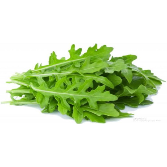 ROQUETTE ORIGINE FRANCE