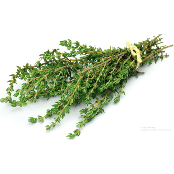 THYM FRAIS ORIGINE UE