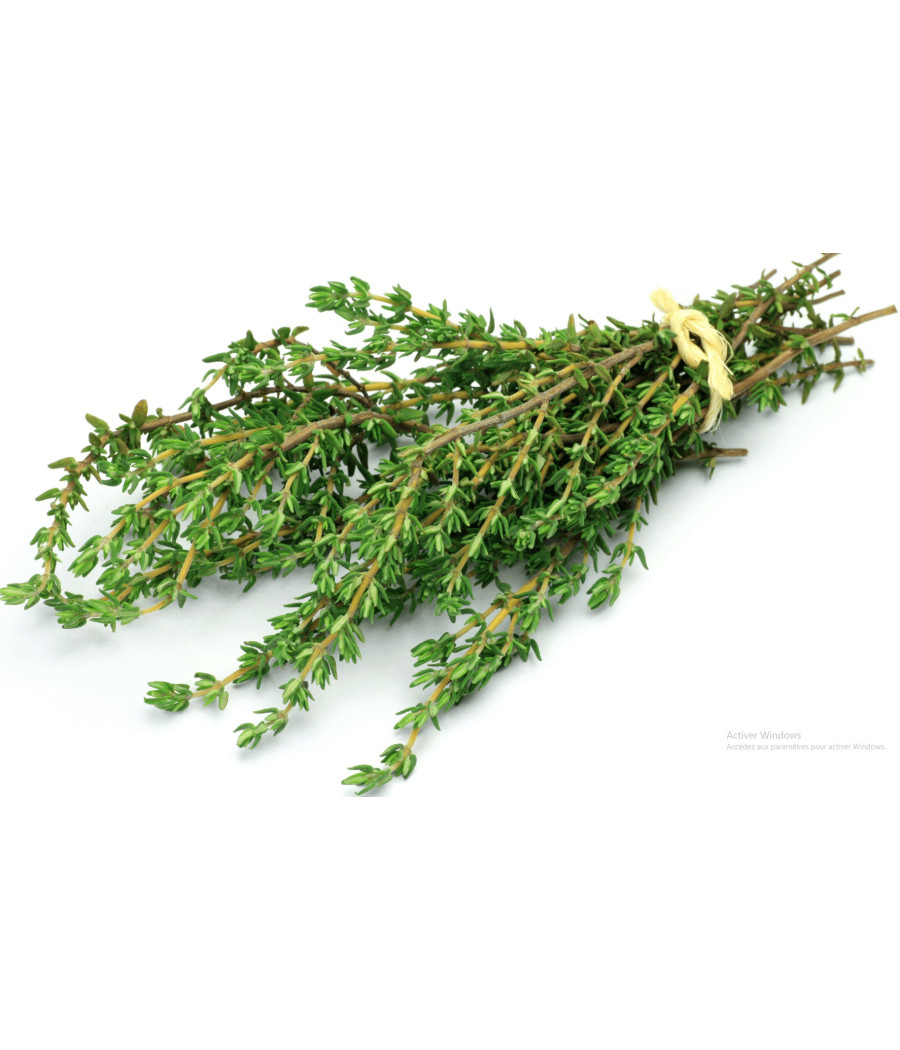 THYM FRAIS ORIGINE UE