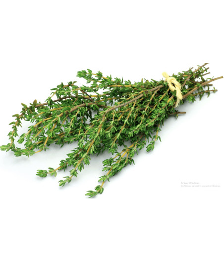 THYM FRAIS ORIGINE UE