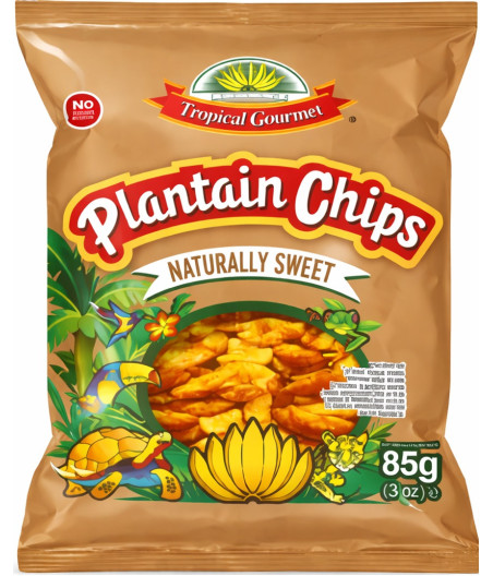 CHIPS PLANTIN NATURE 85G