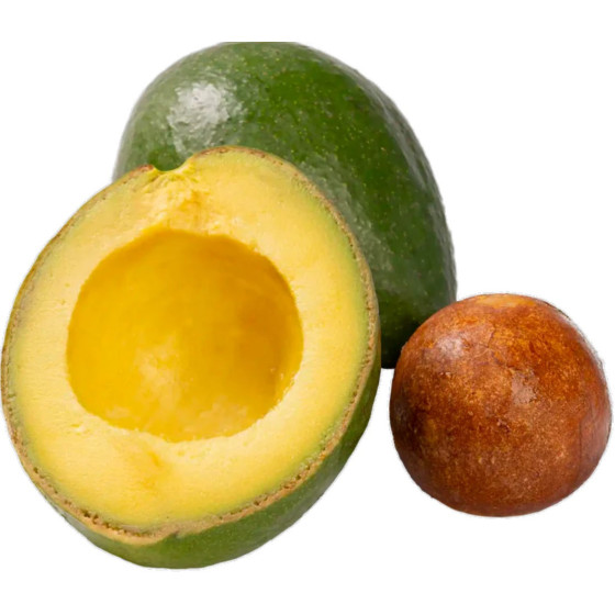 AVOCAT TROPICAL ORIGINE BRESIL CALIBRE 10