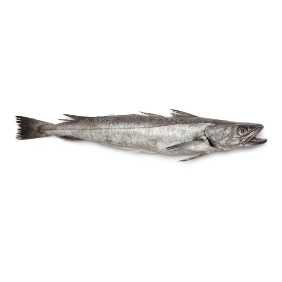 MERLU  CALIBRE 1.8/2.5 PECHE EN MER OCEAN ATLANTIQUE NORD-EST COLIS DE 2,15KG PACK DE 2.15