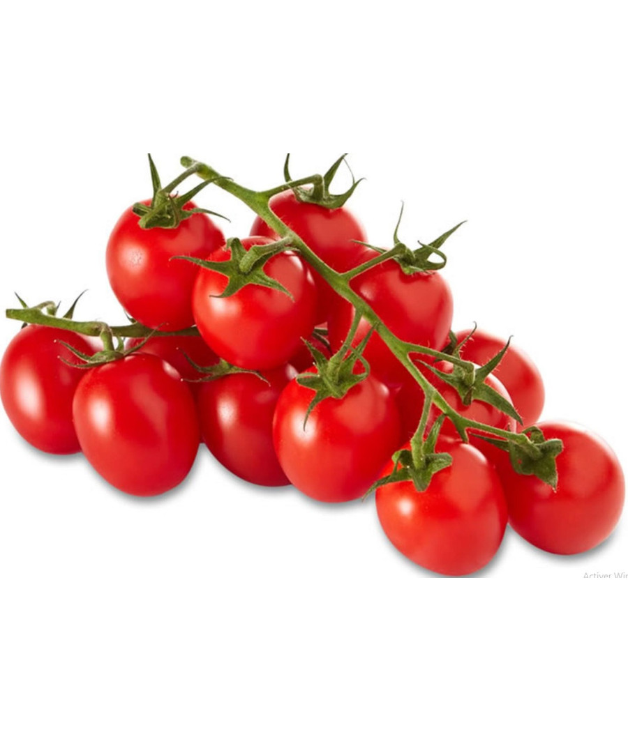 TOMATE CERISE RONDE CAT 1 CALIBRE 9 HORS UE